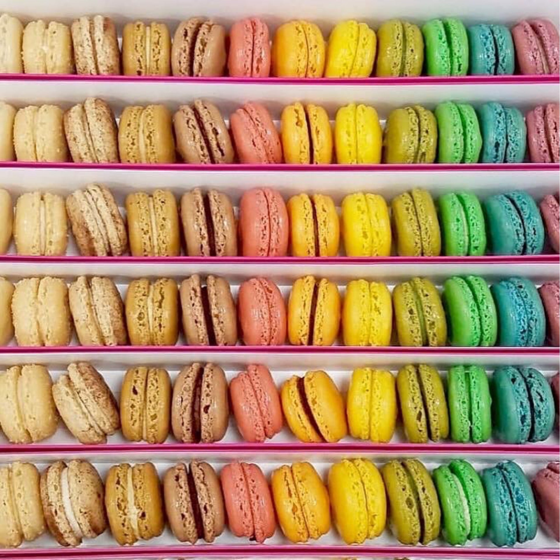 The Pack of 60 French Macarons | Le Macaron Tampa-Wesley Chapel